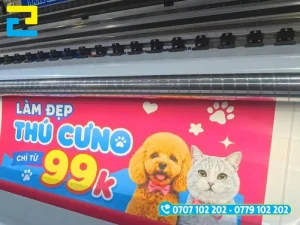 In Ấn 2H là xongwr in UV trên decal 3M chuyyeen nghiệp, giá tốt với nhiều năm kinh nghiệm