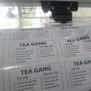 Tem Nhan Decal Compressed