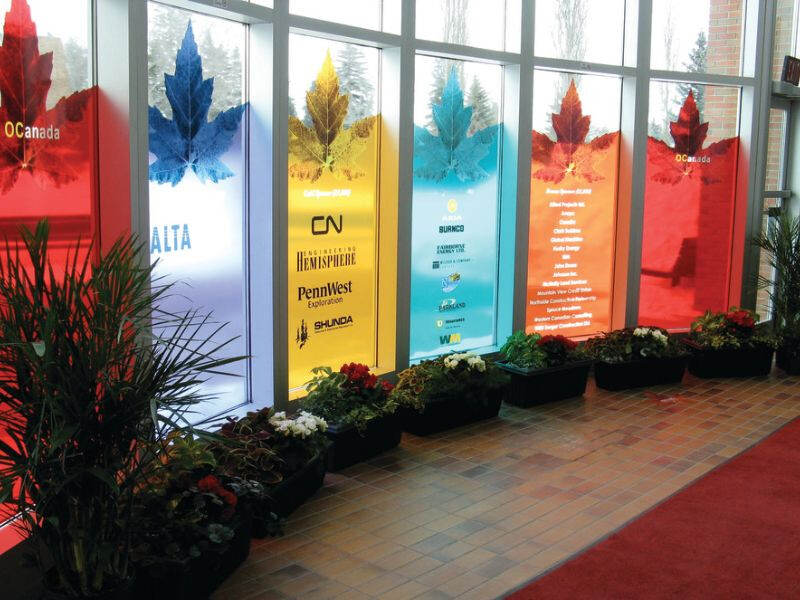 In Decal Dan Kinh Trong In Mau Gia Re Quan 10