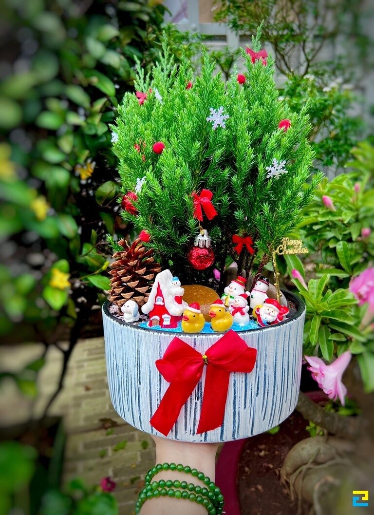 Tiểu cảnh trang trí Noel tươi xanh, hút lộc cho quán cafe, nhà hàng