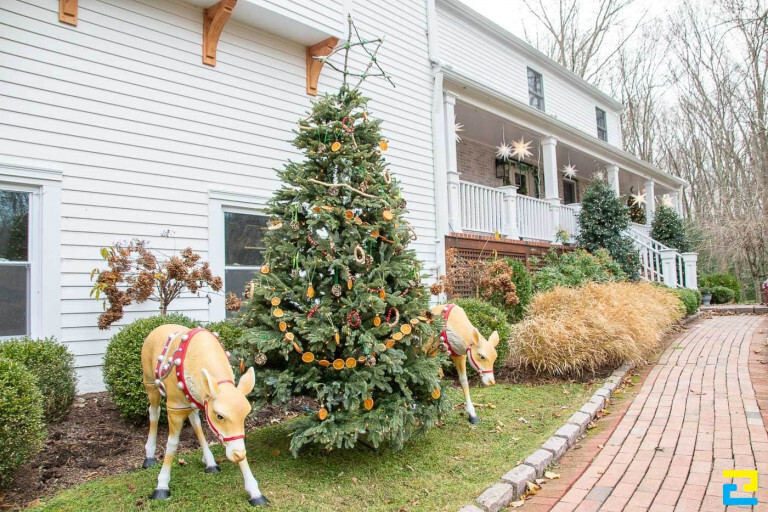 Trang trí không gian ngoài trời với cây thông biểu tượng noel