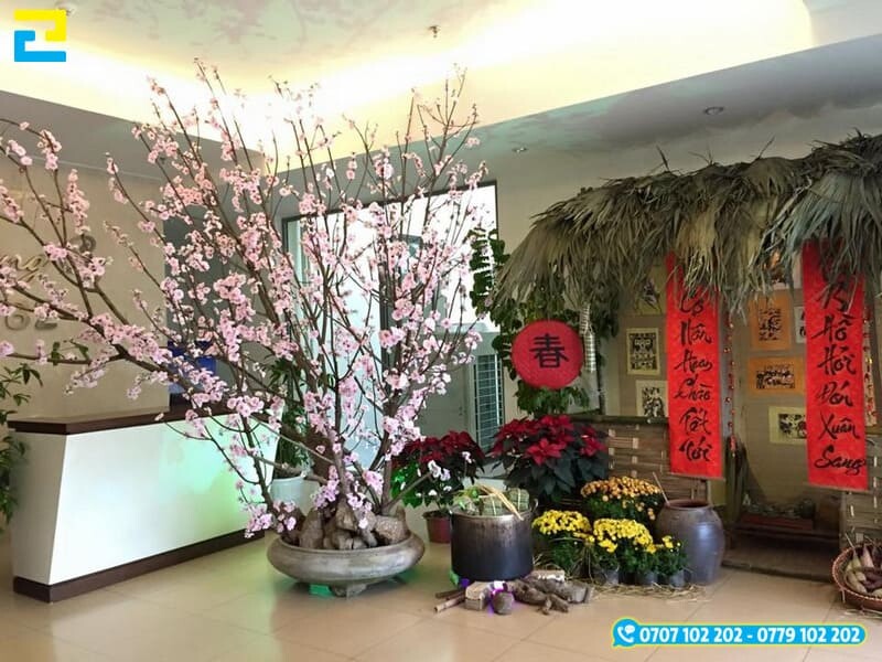 Y Tuong Tieu Canh Tet Quay Le Tan