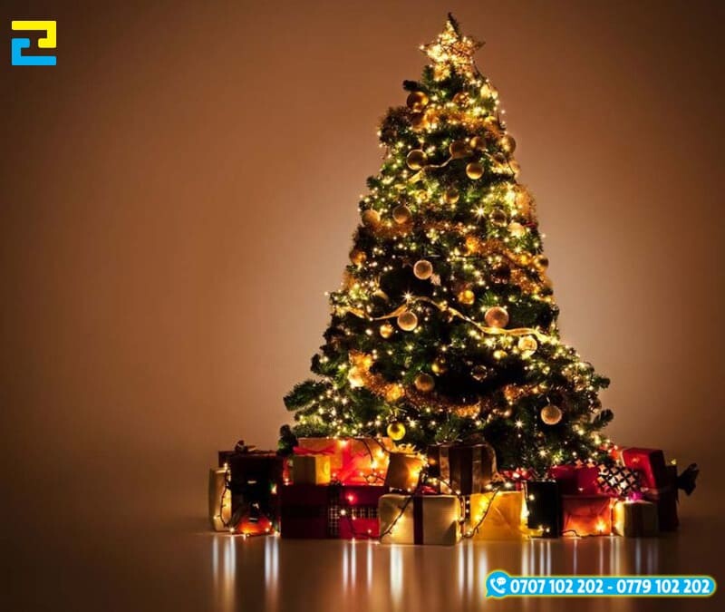 Bieu Tuong Loi Chuc Giang Sinh 1