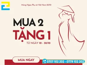 Mẫu banner quảng cáo khuyên mãi mua 2 tặng 1