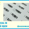 Báo Giá Decal In Mã Vạch Sắc Nét Cho Doanh Nghiệp, Cửa Hàng