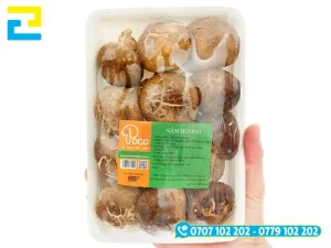 In Ấn 2H nhận in tem nhãn nấm hương từ 50 cái