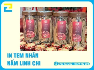 In Tem Nhãn Nấm Linh Chi