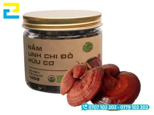 Tem nhãn cao cấp nâng giá trị nấm linh chi