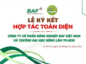 Phông nền Lễ ký kết hợp tác toàn diện, tông màu trắng xanh lá chủ đạo với họa tiết lượn sóng