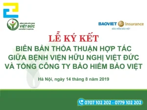 Phông nền Lễ ký kết Biên bản thỏa thuận hợp tác, thiết kế trang trọng màu trắng với dải màu xanh đậm phía dưới