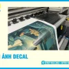 Dịch Vụ In Ảnh Decal Rẻ, Theo Yêu Cầu, Uy Tín, Giao Tận Nơi