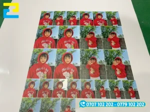 Mẫu in ảnh decal sữa lâu phai màu, hình in sắc nét