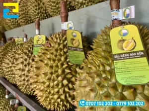 Tem nhãn sầu riêng giúp nâng giá trị nông sản, đặc biệt với hàng xuất khẩu.