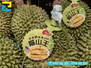 Kích thước tem sầu riêng cần phù hợp với từng vị trí dán như cuống, vỏ, hộp hay rổ