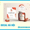 In Decal Hà Nội — Nhựa Sữa, Trong, PP, Phản Quang, 3M