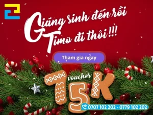 Băng rôn voucher Giáng sinh 15K, trang trí cành thông và bánh gừng