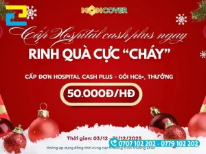 Băng rôn sự kiện Noel của Moncover, nền đỏ phối quả cầu trang trí