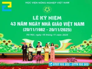 Phông nền sân khấu chúc mừng lễ kỷ niệm 20/11