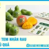 In Tem Nhãn Rau Củ Quả, Decal Nông Sản Theo Yêu Cầu
