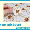 In Nhãn Tem Hạt Óc Chó Giá Rẻ, Bền Đẹp Tại TP.HCM