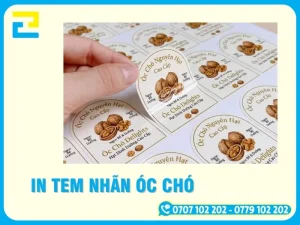 In Nhãn Tem Hạt Óc Chó Giá Rẻ, Bền Đẹp Tại TP.HCM