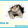 Giá In Decal 3D Siêu Rẻ Đẹp, Chất Lượng Sắc Nét