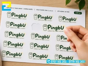 Decal nhựa sữa cắt bế theo logo