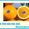 In Tem Dán Hoa Quả Giá Rẻ, Miễn Phí Thiết Kế Tại TP.HCM