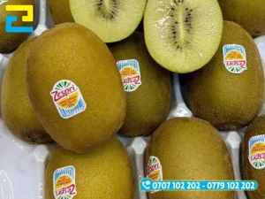 Các chất liệu decal nhựa PET, PP keo chịu âm sâu và decal xi bạc chuyên dụng dán vỏ trái cây tươi
