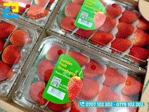 Chi tiết nội dung mã QR truy xuất nguồn gốc, logo và mã vùng trồng trên tem nhãn trái cây