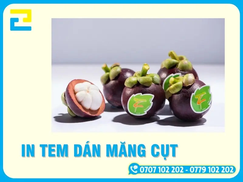 In Tem Dán Măng Cụt Bám Chắc, Chịu Ẩm, Miễn Phí Thiết Kế