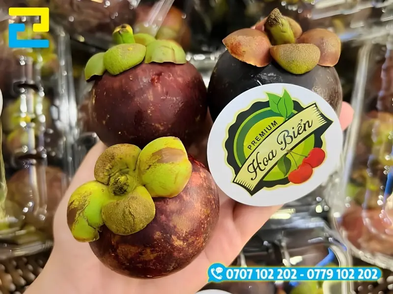 Quy trình in tem dán măng cụt 5 bước nhanh chóng tại In Ấn 2H