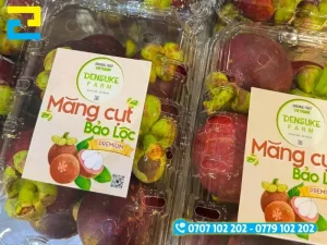 Thiết kế bố cục tem tròn dán quả và tem nhãn hộp hiển thị mã QR truy xuất cùng thông tin nguồn gốc theo quy định