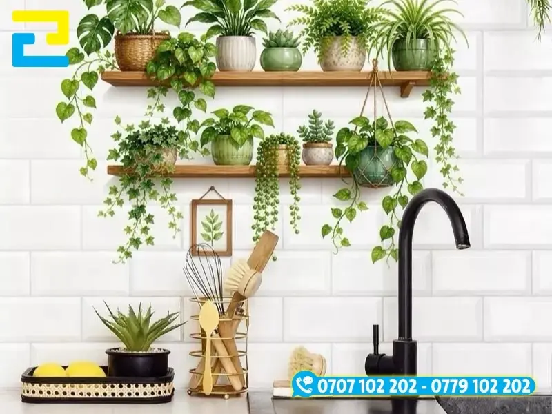 Hình 6: Mẫu decal dán tường bếp kệ chậu cây.