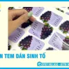 In Tem Dán Sinh Tố, Nước Ép Đẹp, Chịu Lạnh, Bám Chắc